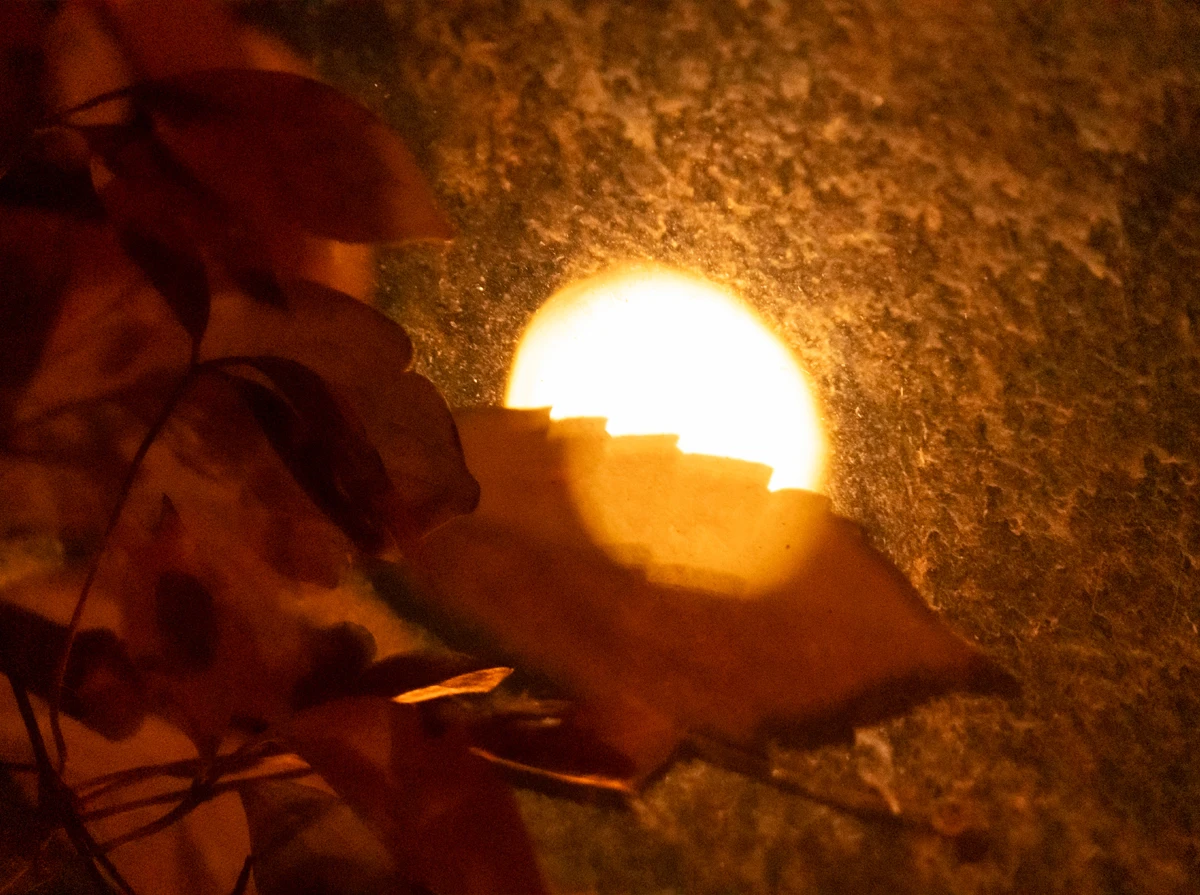 Luna; 44° North